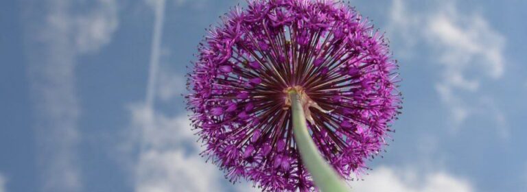 Mindfulness tips stoppen bewust gezond leven houding beweging haptonomie