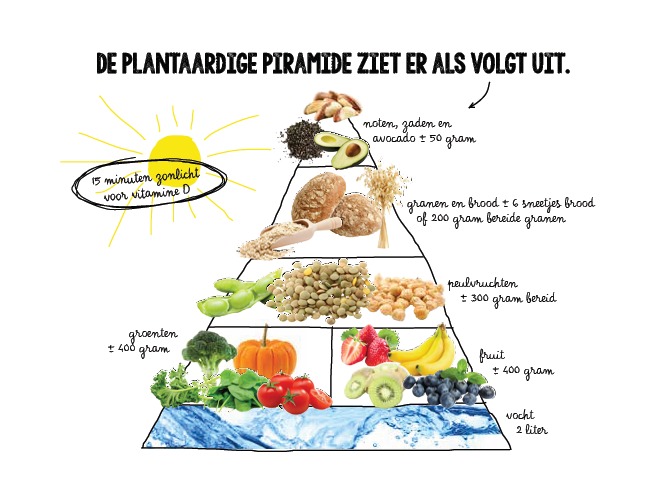 https://simplecheck.nl/wp-content/uploads/plantaardige-piramide-plantaardig-eten-voodelen-klimaat-gezond-eten-bewust.png